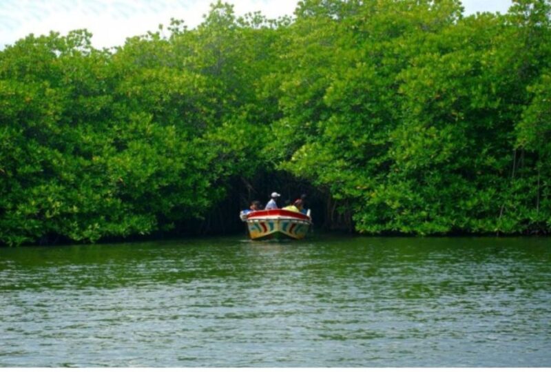 From Colombo: Galle Dutch Fort & Madu River Safari Tour - Inclusions and Amenities of the Tour