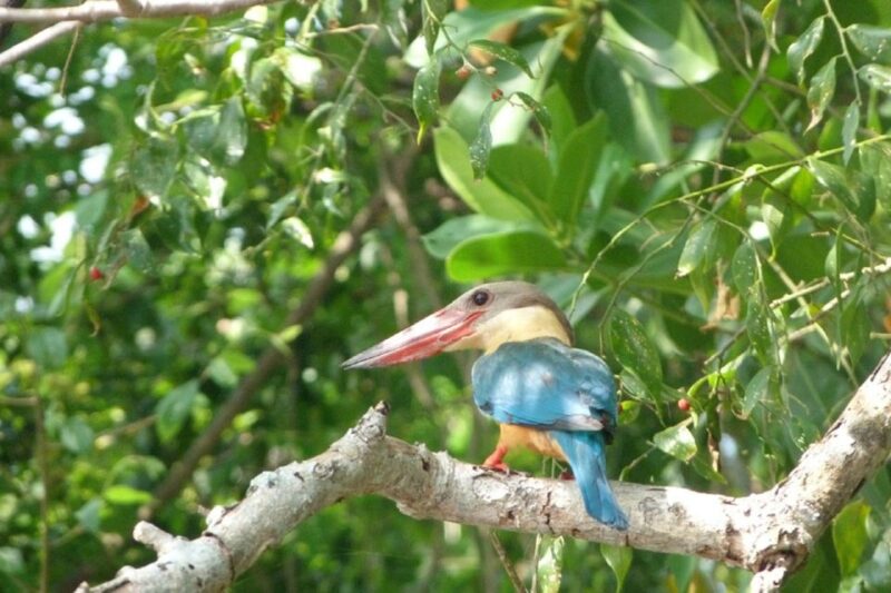 From Colombo: Hikkaduwa Village Tour With Boat Ride & BBQ - Itinerary Highlights