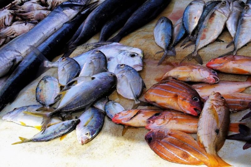 From Colombo: Hikkaduwa Village Tour With Boat Ride & BBQ - Dining Experience
