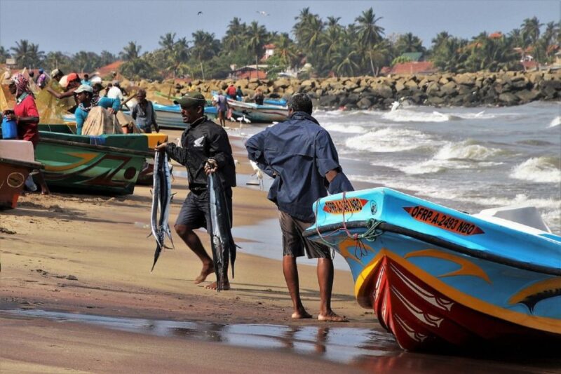 From Colombo: Hikkaduwa Village Tour With Boat Ride & BBQ - Free Cancellation and Reservations