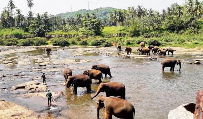 From Colombo: Kandy and Pinnawala Full-Day Trip - Booking and Cancellation Policy
