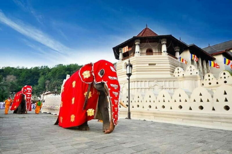 From Colombo: Kandy, Pinnawala and Tea Factory Full-Day Trip - From Colombo: Kandy, Pinnawala, and Tea Factory Full-Day Trip
