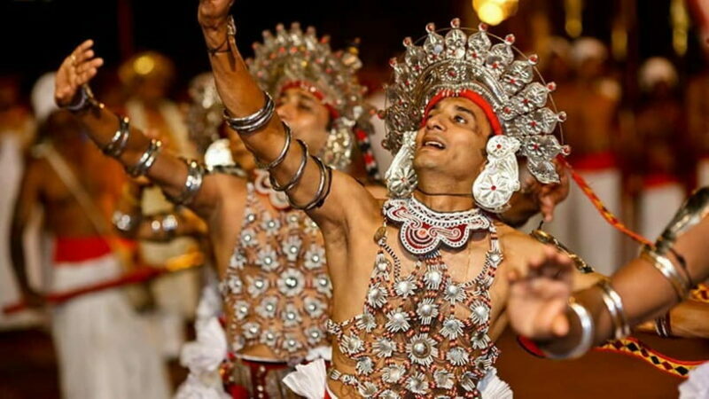 From Colombo: Kandy, Pinnawala and Tea Factory Full-Day Trip - Frequently Asked Questions (FAQs)
