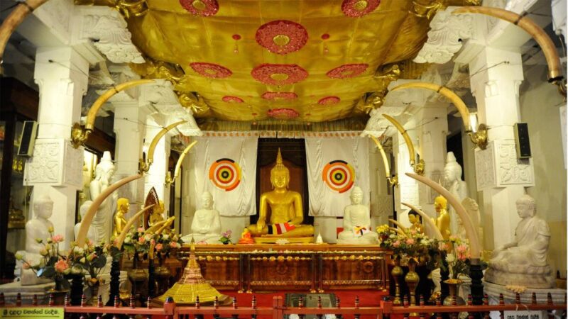 From Colombo: Kandy, Pinnawala and Tea Factory Full-Day Trip - Itinerary Highlights