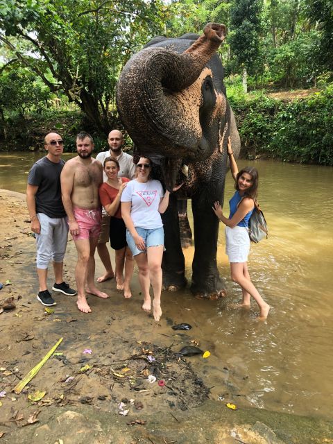 From Colombo : Kandy Privet Full Day Tour With Pinnawala - Inclusions and Exclusions