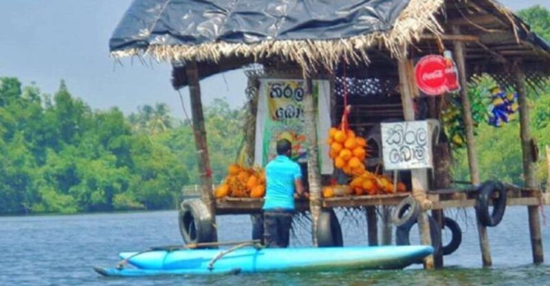 From Colombo: Madu River Safari & Turtle Hatchery Visit - River Safari at Madu Ganga