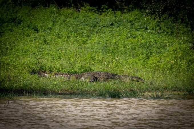 From Colombo: Minneriya / Kaudulla National Park Jeep Safari - Getting to Minneriya National Park
