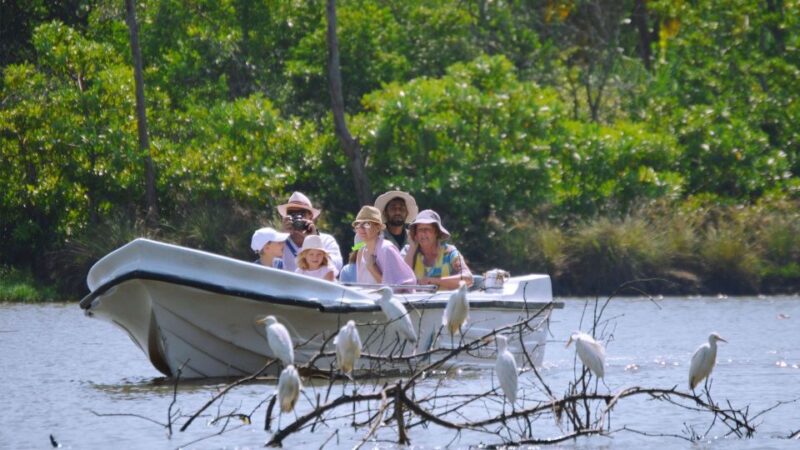 From Colombo: Negombo Beaches 5-Day Break & Catamaran - Accommodation and Meals