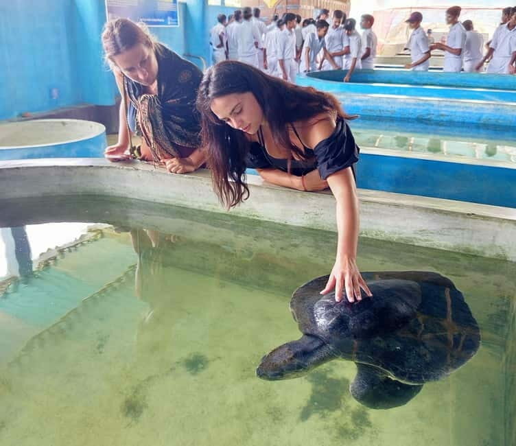 From Colombo/Negombo: Galle, Madu River, and Turtle Hatchery - The Value of the Experience