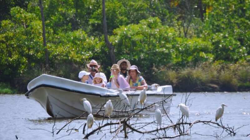 From Colombo: Negombo Lagoon (Mangrove )Boat Excursion - Key Points
