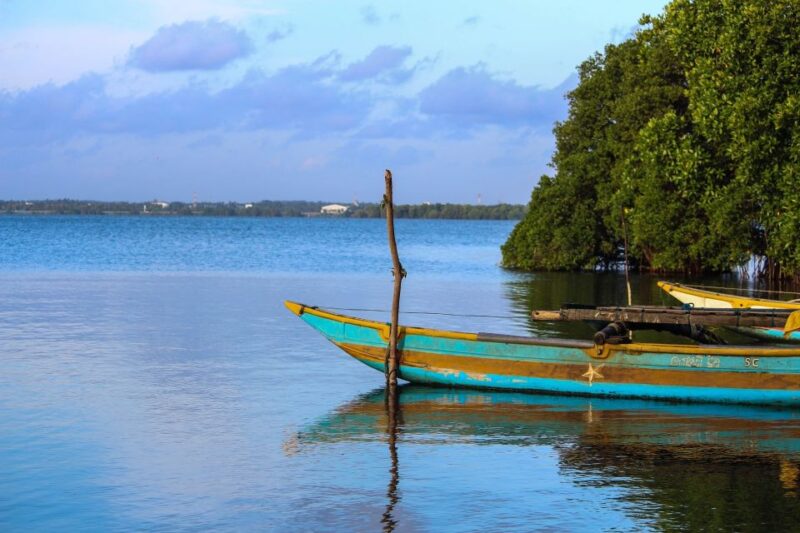 From Colombo: Negombo Lagoon (Mangrove )Boat Excursion - Itinerary and Highlights