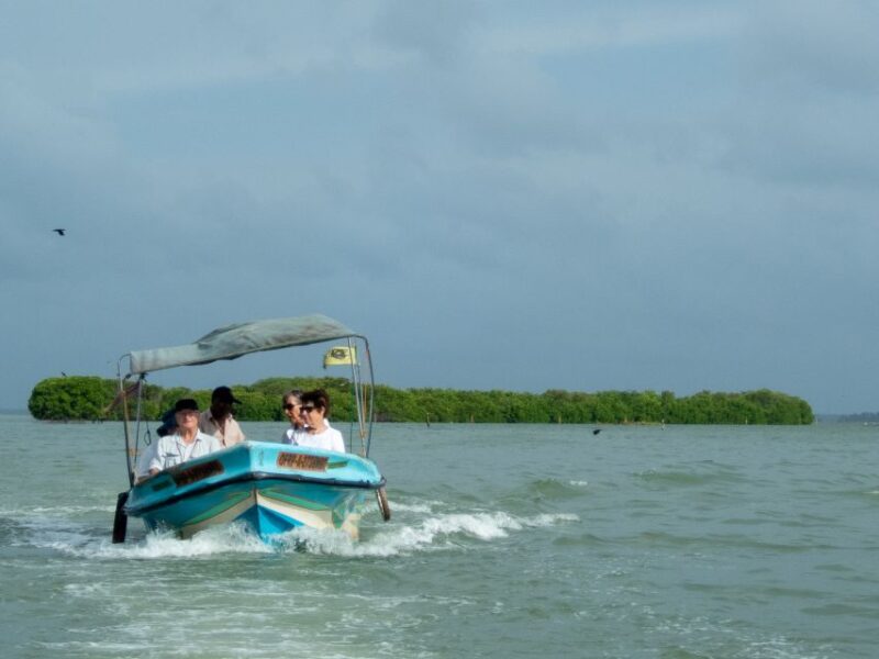 From Colombo: Negombo Lagoon (Mangrove )Boat Excursion - Transportation and Amenities