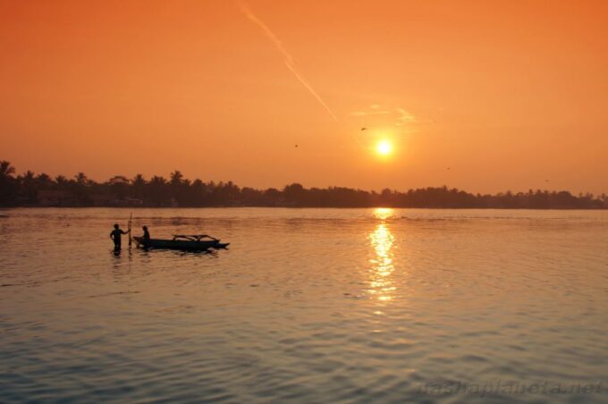 From Colombo: Negombo Lagoon (Mangrove )Boat Excursion - Unique Experiences