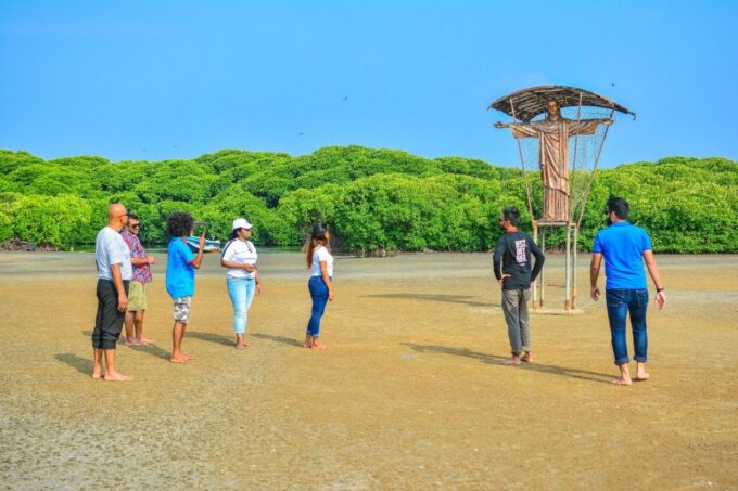 From Colombo: Negombo Lagoon (Mangrove )Boat Excursion - Recap