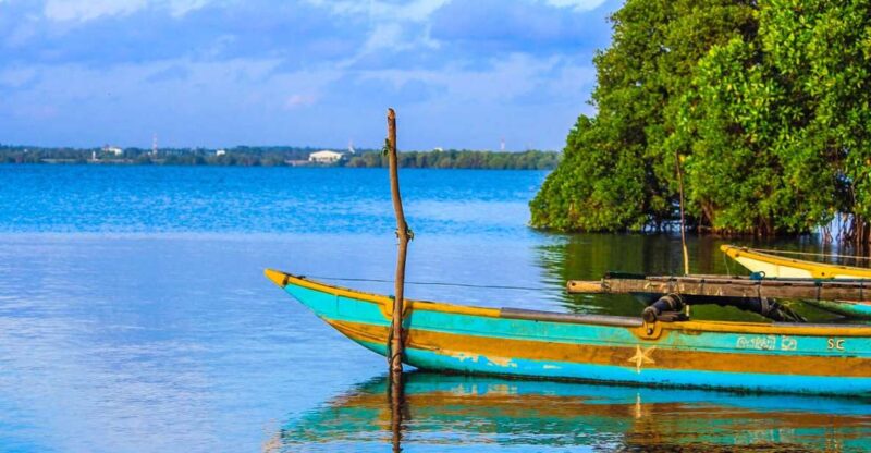 From Colombo/Negombo: Muthurajawela Bird Watching Day Trip - Tour Inclusions
