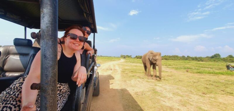 From Colombo: Pidurangala Rock and Minneriya Safari Day Tour - Herbal and Spice Garden