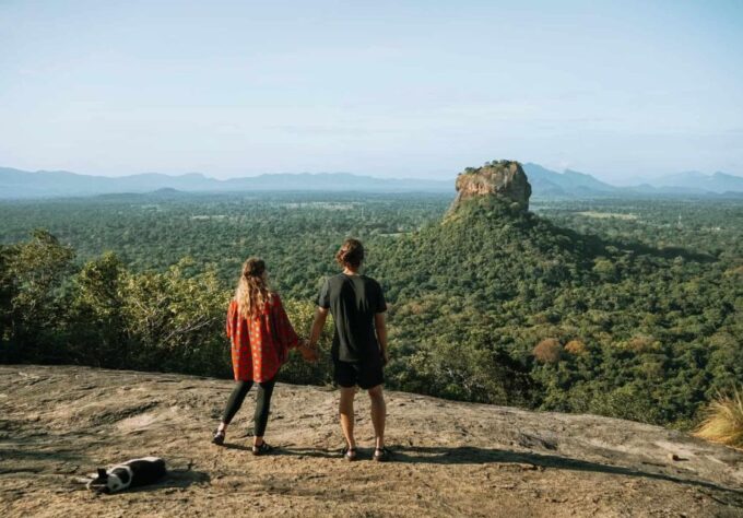 From Colombo: Pidurangala Rock and Minneriya Safari Day Tour - Minneriya National Park Safari