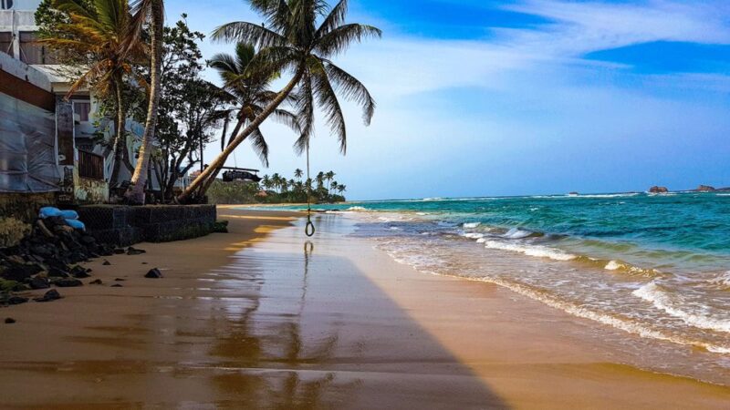 From Colombo Port: Sout Coast, Galle Fort, Guided Tour - Cultural Insights