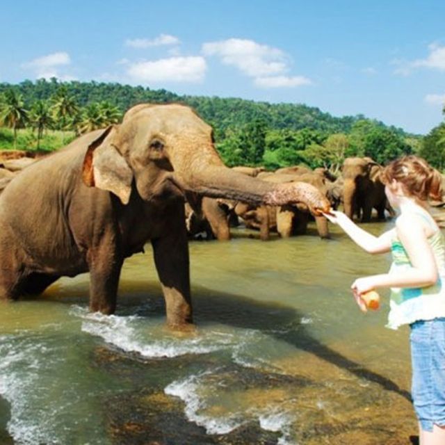 From Colombo: Private 2-Day Sri Lanka Highlights Trip - Itinerary Highlights