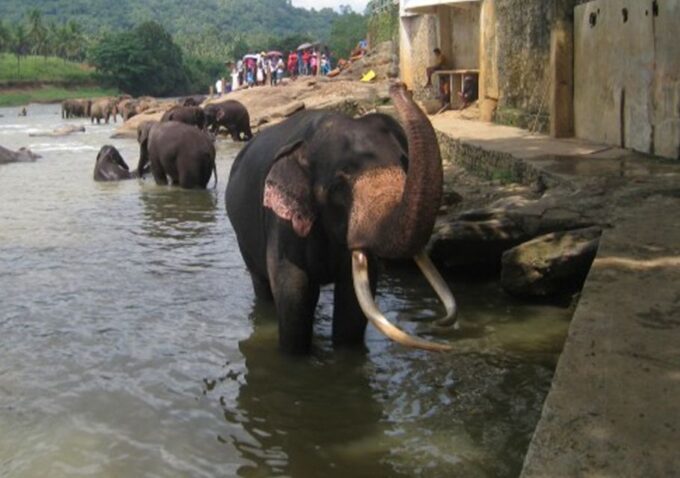 From Colombo: Private 2-Day Sri Lanka Highlights Trip - Madu River Boat Safari