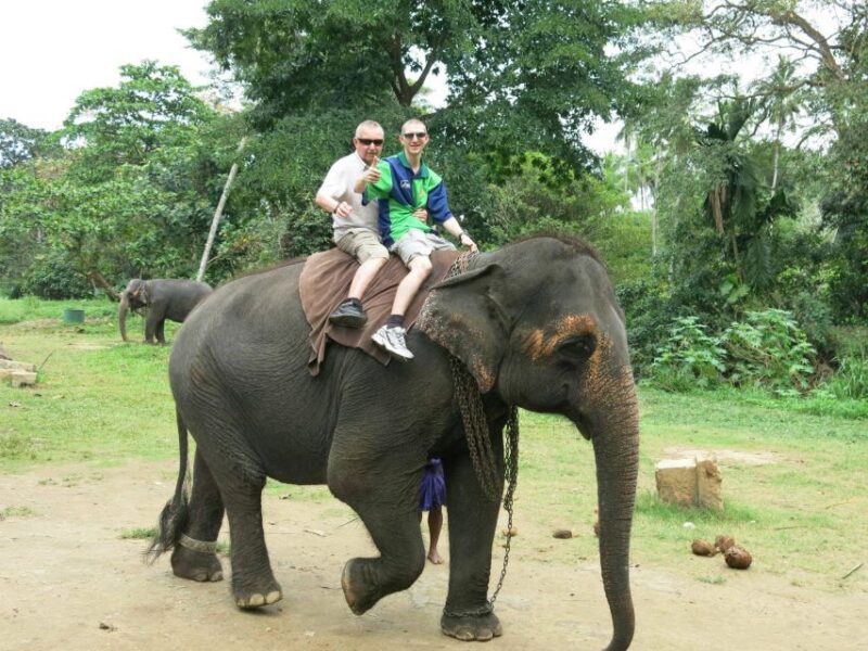 From Colombo: Sigiriya and Dambulla Day Trip With Safari - Itinerary Highlights