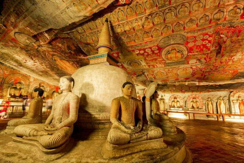 From Colombo: Sigiriya / Dambulla & Safari Day Tour - Detailed Breakdown of the Itinerary