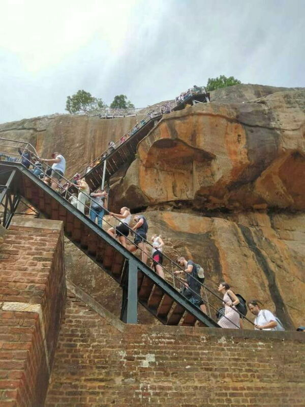 From Colombo: Sigiriya Rock, Dambulla & Minneriya 4x4 Safari - Starting from Colombo or Negombo