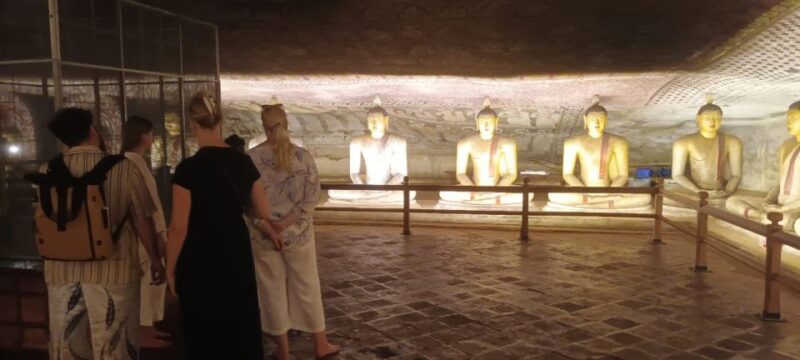 From Colombo: to Sigiriya & Dambulla One Day Tour - Transportation and Inclusions