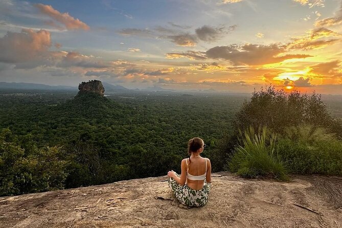 From Colombo to Sigiriya Lion Rock & Minneriya Half Day Safari - Transportation and Amenities
