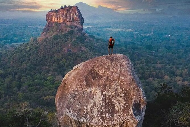 From Colombo to Sigiriya Lion Rock & Minneriya Half Day Safari - Customer Reviews and Ratings