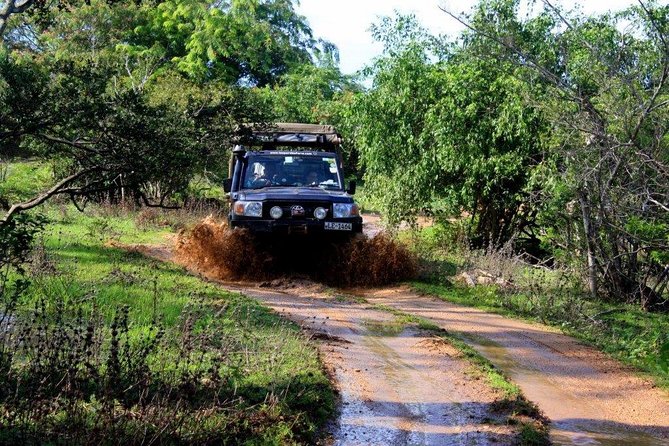 From Colombo: Udawalawa National Park Wildlife Safari - Participant Guidelines