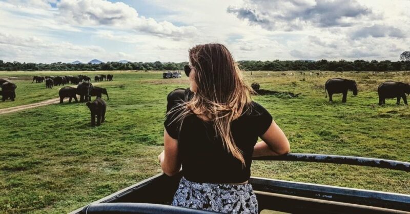 From Colombo: Udawalawa Safari & Elephant Transit Home Tour - Experience Highlights