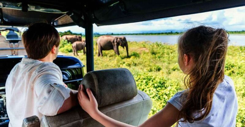 From Colombo: Udawalawa Safari & Elephant Transit Home Tour - Pickup and Travel