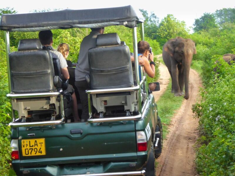 From Colombo : Yala National Park Safari Tour - Inclusions