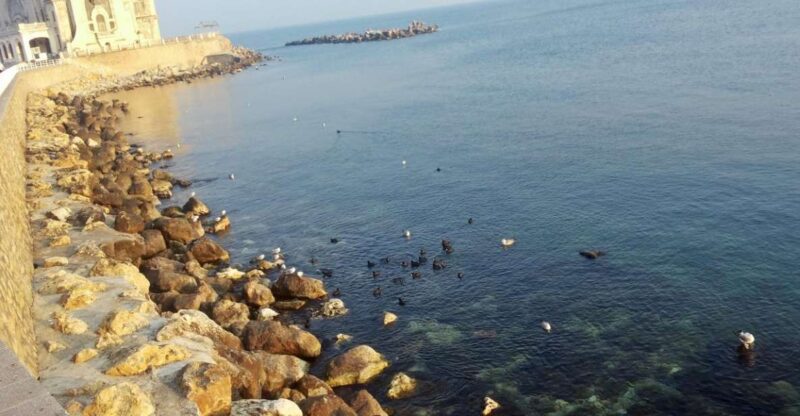 From Constanta: Private Coastal Day Trip With Museum Visits - Itinerary Highlights