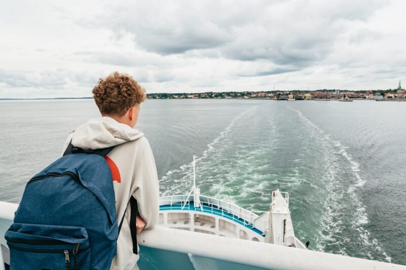 From Copenhagen: Lund and Malmö 2-Country Tour - Included Features
