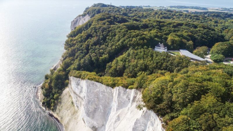 From Copenhagen: Round-Trip to Møns Klint and Forest Tower - Highlights and Experiences