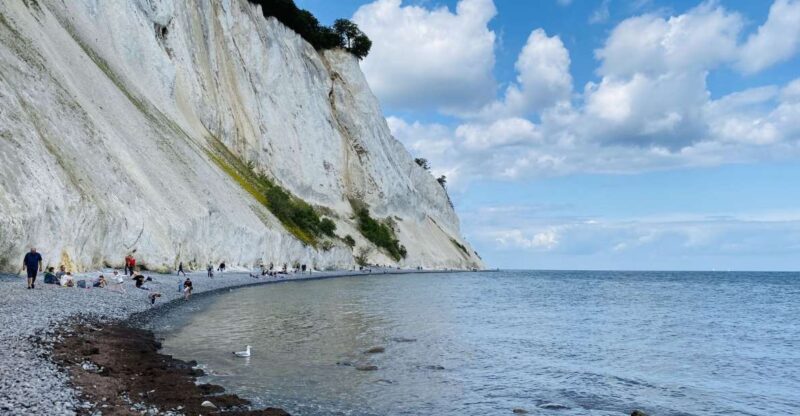 From Copenhagen: Round-Trip to Møns Klint and Forest Tower - Transportation and Accessibility