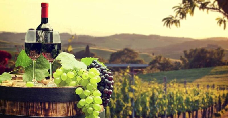 From Córdoba: Ronda Winery Minivan Trip With Wine Tasting - Highlights