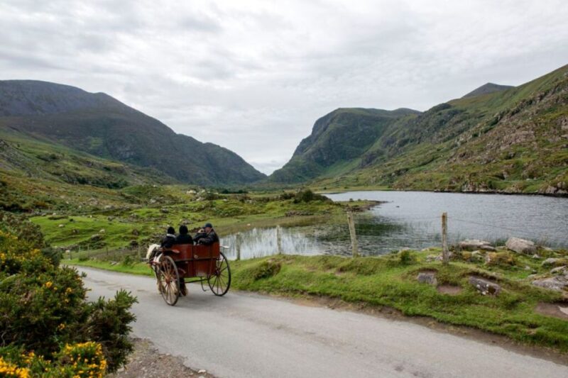 From Cork: 9-Hour Guided Ring of Kerry and Killarney Tour - Meeting Point and Important Information