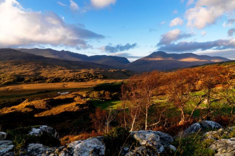 From Cork: 9-Hour Guided Ring of Kerry and Killarney Tour - Customer Reviews and Ratings