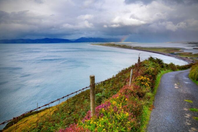From Cork: 9-Hour Guided Ring of Kerry and Killarney Tour - Free Cancellation Policy