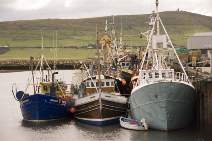 From Cork: Full-Day Guided Tour to Dingle Peninsula - Departure and Duration