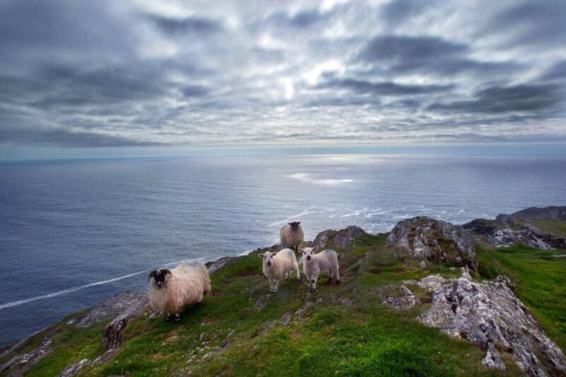 From Cork: Guided Full-Day West Cork to Mizen Head Tour - Itinerary Highlights
