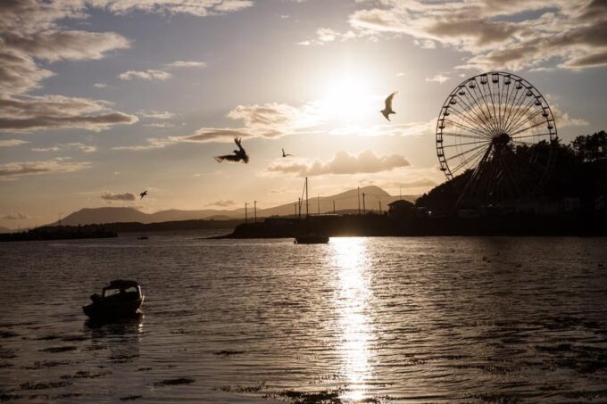From Cork: West Cork to Mizen Head Guided Full Day Tour - Travel Experience