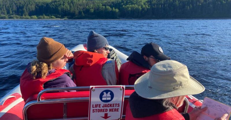From Corner Brook : Bay Of Islands Island Zodiac Boat Tour - Key Points