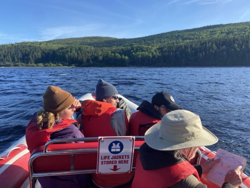 From Corner Brook : Bay Of Islands Island Zodiac Boat Tour - Experience Highlights