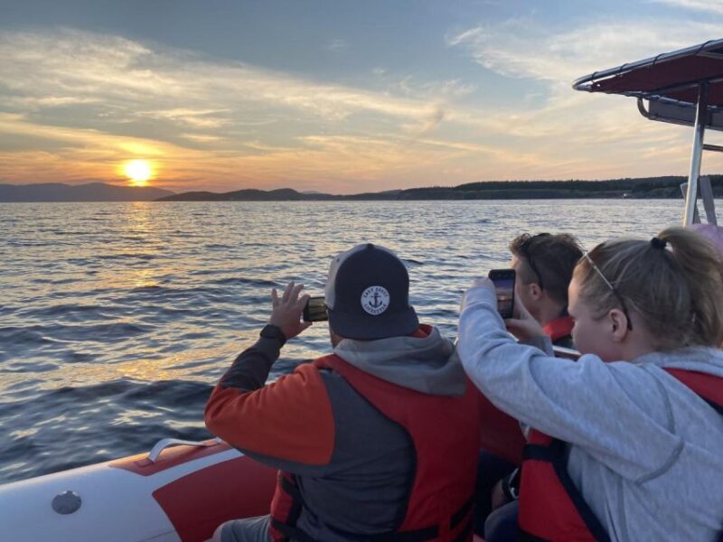 From Corner Brook : Bay Of Islands Island Zodiac Boat Tour - Photo-Worthy Coastlines