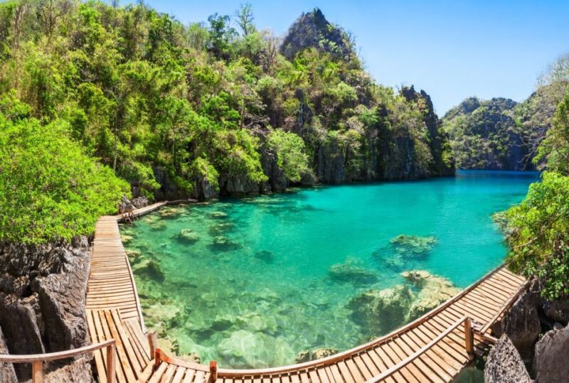 From Coron: Island Hopping Boat Day Trip With Buffet Lunch - Customer Feedback