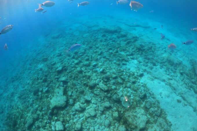From Corralejo: Lobos Island Boat and Snorkel Activity - Lobos Lighthouse